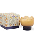 Bougie Tulipe 5.5oz Garden & Grove Paddywax