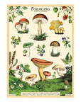 Affiche Cavallini Forage - Ex - voto