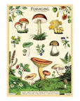 Affiche Cavallini Forage - Ex - voto