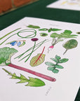 Affiche Laucolo 11 x 14 Printemps - Ex - voto