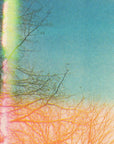 Affiche Riso 11 x 17 Sunroom Sky - Ex - voto