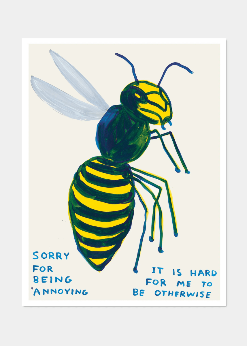 D.Shrigley Sorry For Being Annoying 60 x 80 cm Print – Ex-voto
