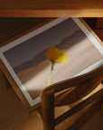 Affiche TPC Desert Mirage 30 x 40cm Nicole Mason - Ex - voto