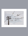 Affiche TPC Recharging Mode 30 x 40cm Jaron Su - Ex - voto