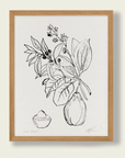Affichette Avocado Botanical Cocoshalom 8 x11 - Ex - voto