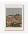 Affichette California Poppies 8.5 x 11 Cocoshalom - Ex - voto