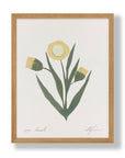 Affichette Paper Chamomille Cocoshalom 8 x11 - Ex - voto