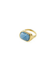 Bague Ajustable Now Pilgrim - Ex-voto