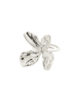 Bague Dream Pilgrim (Or ou Argent) - Ex - voto