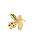 Bague Dream Pilgrim (Or ou Argent) - Ex - voto