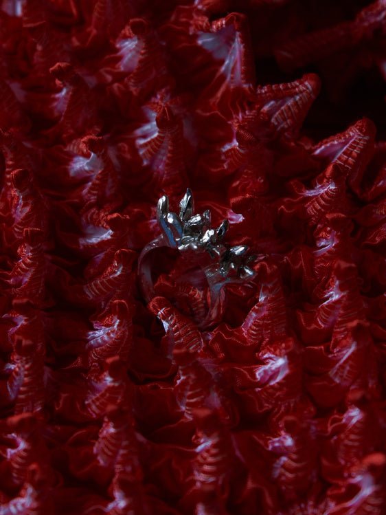 Bague Spinosa Ego Curo - Ex - voto