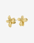 Boucles d'Oreilles Charmaine Pilgrim (Or ou Argent) - Ex - voto