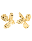 Boucles d'oreilles Dream Pilgrim (Argent ou Or) - Ex - voto