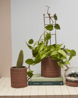 Cache - Pot Bardo 6.75 x 8 AD - Ex - voto