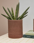 Cache - Pot Bardo 6.75 x 8 AD - Ex - voto