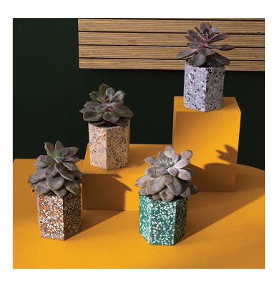 Boko Planter 3.5 x 3.25 in – Ex-voto