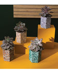 Cache - Pot Boko 3.5 x 3.25 AD - SOLDE Vente Finale - Ex - voto