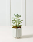 Cache - Pot Carmen 4.5 x 4.5 AD Bleu Clair - Ex - voto