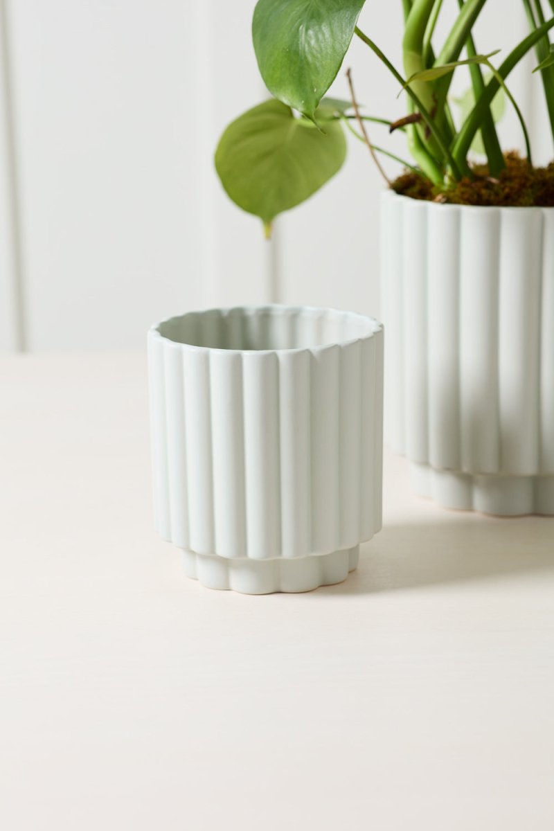 AD Light Blue 5.5 x 6 Carmen Plant Pot – Ex-voto