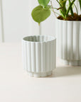 Cache - Pot Carmen 5.5 x 6 AD Bleu Clair - Ex - voto