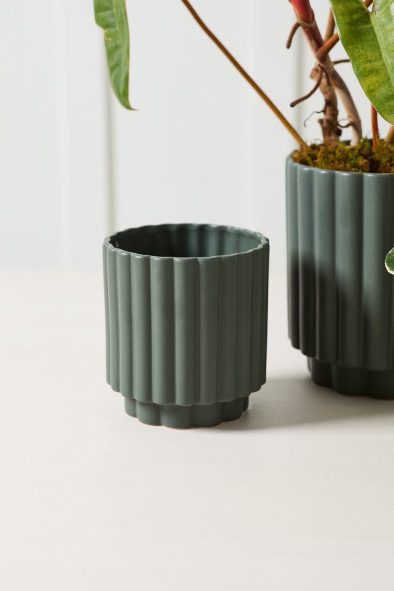 AD Dark Green 5.5 x 6 Carmen Plant Pot – Ex-voto