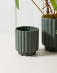 Cache - Pot Carmen 5.5 x 6 AD Vert Foncé - Ex - voto