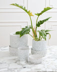 Cache - Pot Claxton 10 x 10 AD - Ex - voto