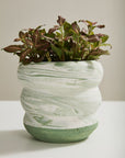 Cache - Pot Greenway 6 x 6 AD - Ex - voto
