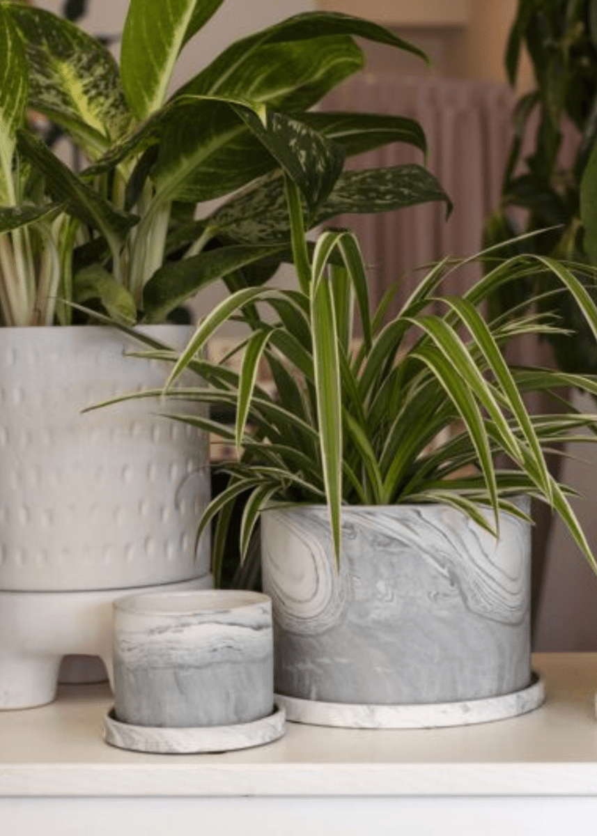 スペースエイジ Vernnrpanton flower pot Bespoke Vintage Clay
