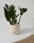 Cache-Pot Pois Colorés 5,25 x 4,5 AD - Ex-voto