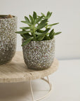 Cache - Pot Verde 4.5 x 4 AD - Ex - voto