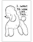 Carnet A6 I Want to Look like This D. Shrigley - Ex - voto