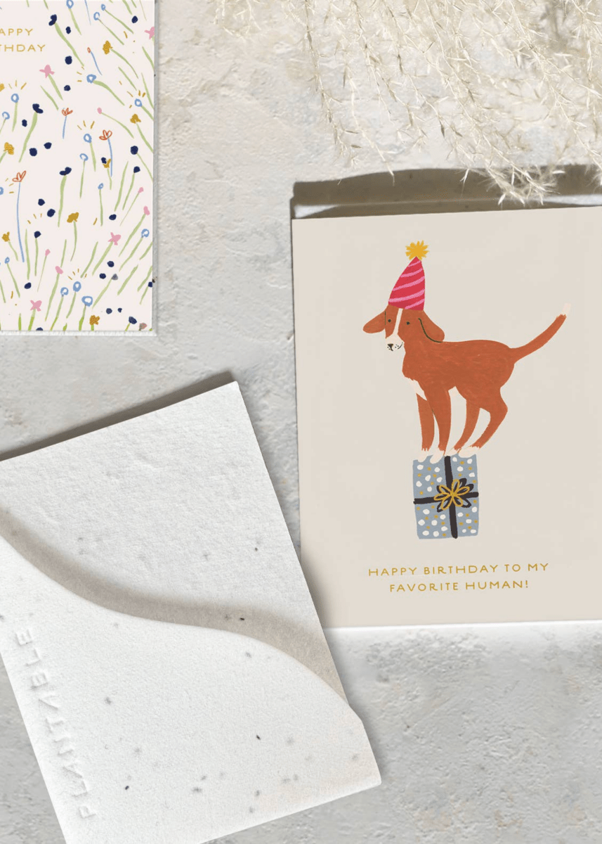 Carte de Souhaits Mini Birthday Dog Seedlings - Ex - voto