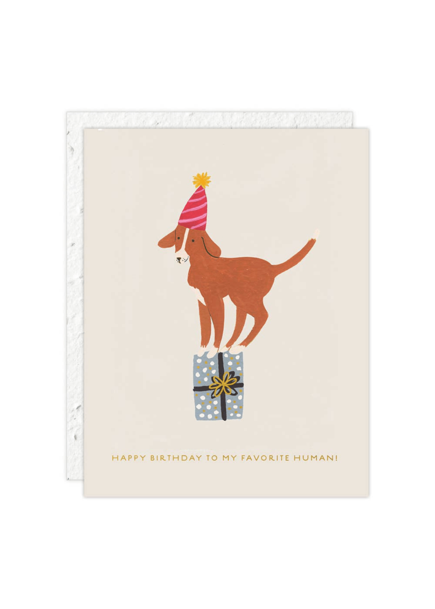 Carte de Souhaits Mini Birthday Dog Seedlings - Ex - voto