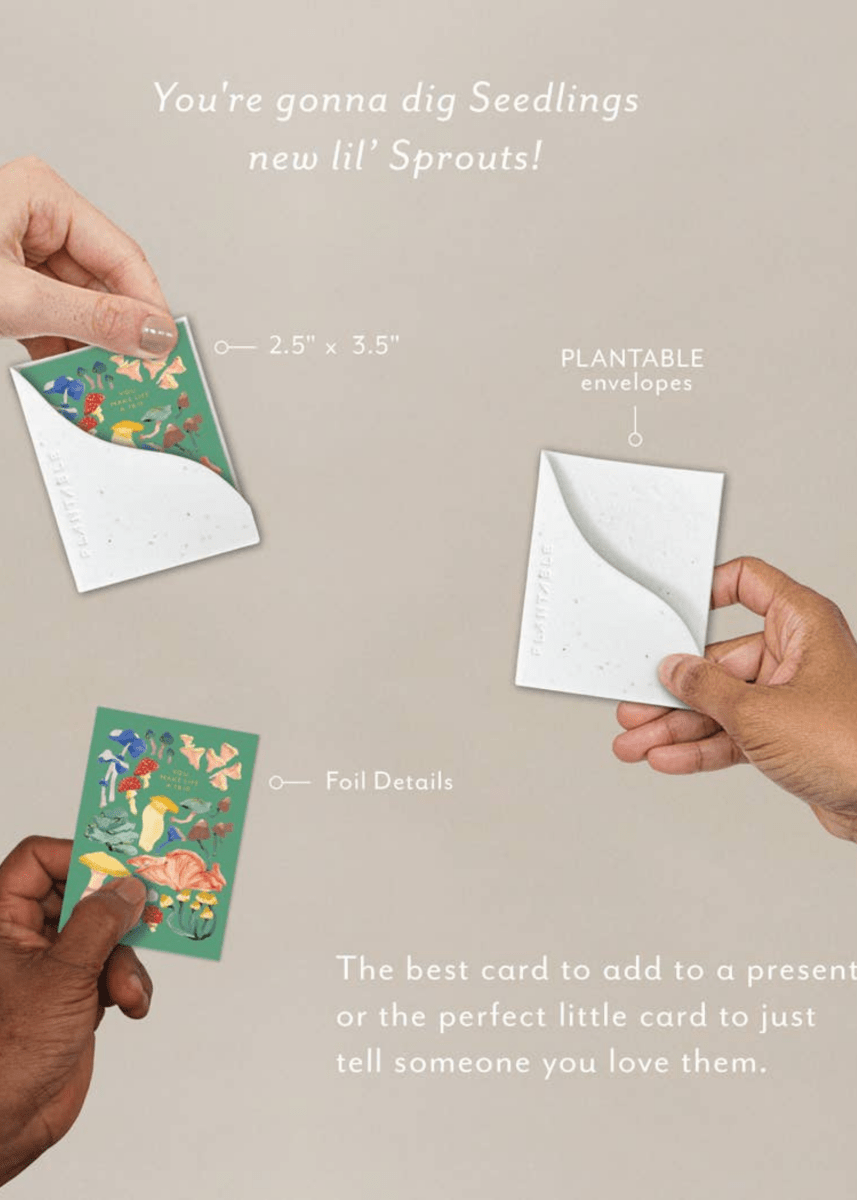 Carte de Souhaits Mini Shrooms Seedlings - Ex - voto