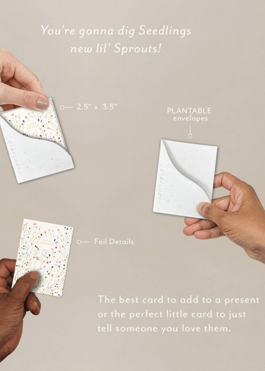 Carte de Souhaits Mini Sweetest Stems Seedlings - Ex - voto