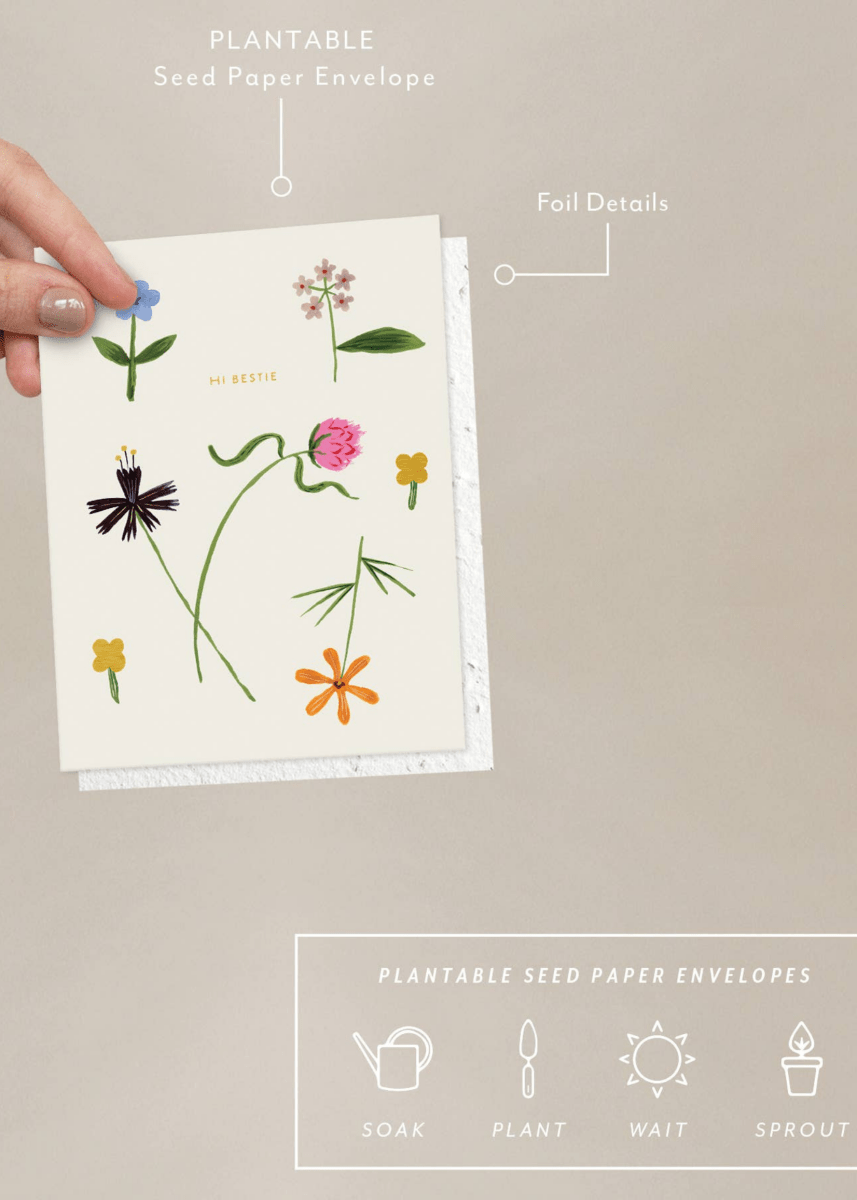 Carte de Souhaits Quirky Petals Seedlings - Ex - voto