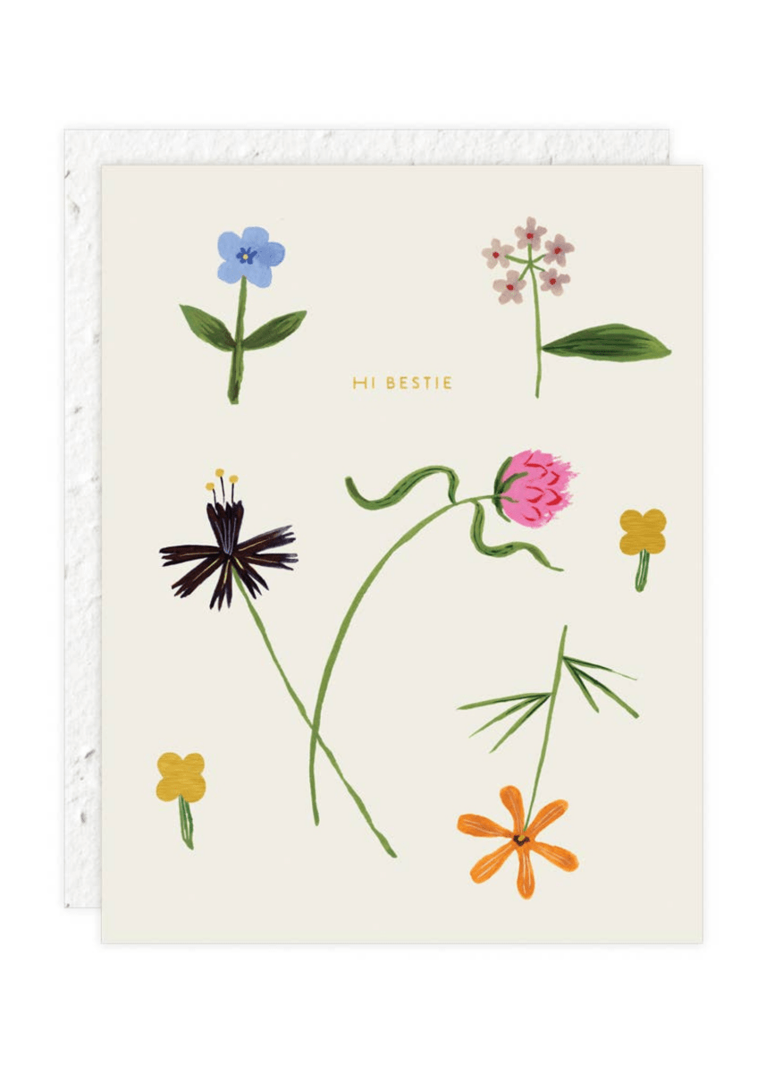 Carte de Souhaits Quirky Petals Seedlings - Ex - voto