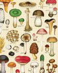 Casse - Tête Champignons 1000 pièces Cavallini - Ex - voto