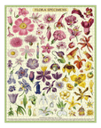 Casse - Tête Flora Specimens 1000 pièces Cavallini - Ex - voto