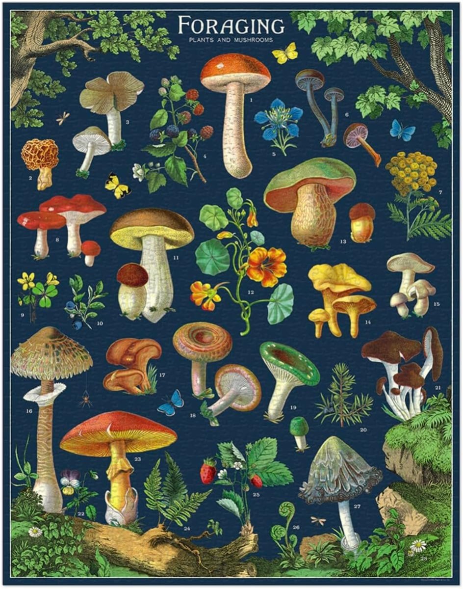 Puzzle Cavallini 1000 Pièces – Arboretum – Images Vintage – Tube 25,4 Cm Avec Sac Mousseline
