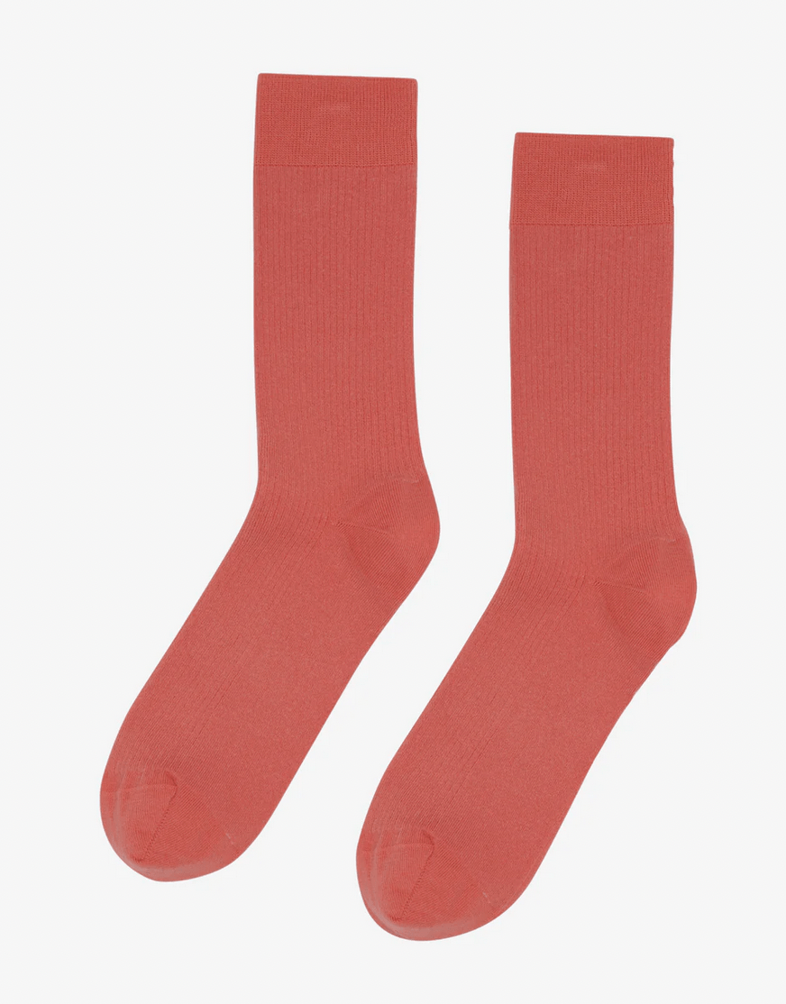 Chaussettes Coton Bio Colorful Standard 41 - 46 - Ex - voto