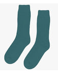 Chaussettes Merinos Colorful Standard - Ex - voto