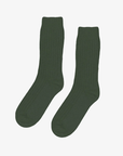 Chaussettes Merinos Colorful Standard - Ex - voto
