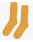 Chaussettes Merinos Colorful Standard - Ex - voto