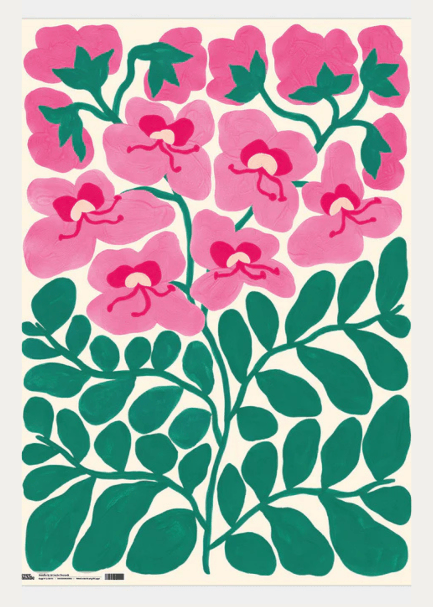 Emballage Boundless Evermade - Ex - voto