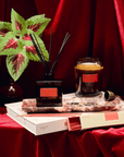 Encens Plush Vetiver– HI - FI PF Candle - Ex - voto