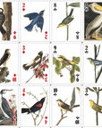 Jeu de cartes 3D Oiseaux Kikkerland - Ex - voto