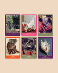 Jeu de Cartes The Cat Oracle Broccoli - Ex - voto