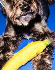 Jouet pour Chien Laine Feutrée WOTD (2 options disponibles) - Ex - voto